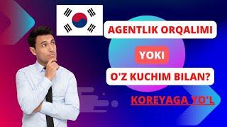 KOREYAGA AGENTLIK ORQALI KELGAN MAQULMI YOKI O'ZINGIZ HARAKAT QILIB KELGANMI?