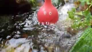 Lucky swims in the healing Silver Creek 2