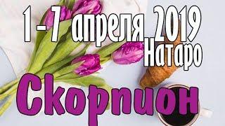 СКОРПИОН - таро прогноз 1-7 апреля 2019 года НАТАРО.