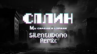 Сплин — Мы сидели и курили (SilentuDono Remix & Cover) | Lyrics Video