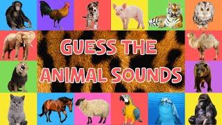 Guess The Animal Sounds For Kids | 4K