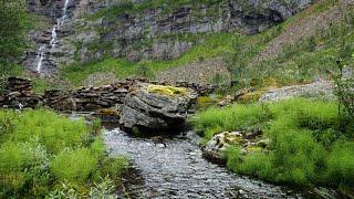 Mountain stream with subtle bird sounds