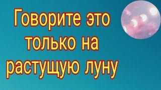 Говорите это только на растущую луну. | Тайна Жрицы |