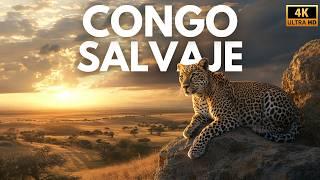 CONGO SALVAJE - Depredadores y Sobrevivientes | Documental Completo