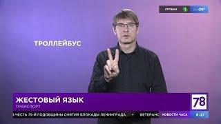 Учим жестовый язык в "Полезном утре" (Транспорт)