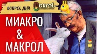 Накормить страну крольчатиной... Кто... Зачем... Игорь Николаевич Михайлов МИАКРО, А.А. Цветков