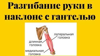 Разгибания руки в наклоне с гантелью