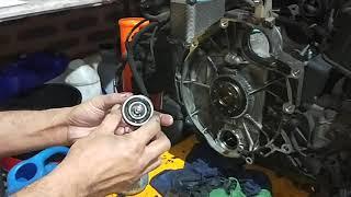 IMS bearing inspection before replacement by EMD PORSCHE