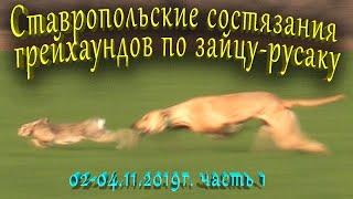 Ставропольские состязания грейхаундов 02-04.11.2019г. Охота на зайца. the hunting of the hare.