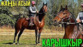 КЫРГЫЗДЫН МЫКТЫ АРГЫМАГЫ  #байтв