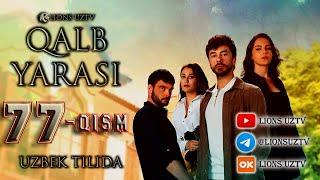 QALB YARASI 77 QISM UZBEK TILIDA HD FORMATDA | КАЛБ ЯРАСИ 77 КИСМ УЗБЕК ТИЛИДА