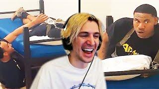 xQc Reacts to Daily Dose of Internet!