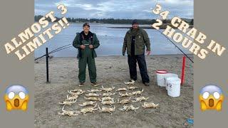 34 Crabs in 2 hours Crabbing at Seaside Oregon with Crab Snares! Almost 3 Limits!