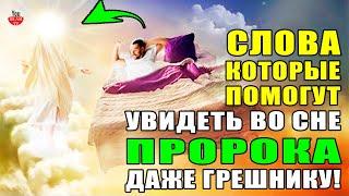 СЛОВА КОТОРЫЕ ВЫ МОЖЕТЕ ПРОИЗНЕСТИ И УВИДЕТЬ ВО СНЕ ПРОРОКА МУХАММАДА! хадис пророка