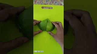 Easy Ash Gourd Love Carving ideas #art #tending #carving #shorts #diy #shortvideo #youtubeshorts