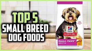  Top 5 Best Small Breed Dog Foods 2024 | Best Dog Food for Small Dogs