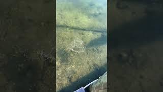  Let’s Feed the Fish! Guess the City  | Eco Clean Marine