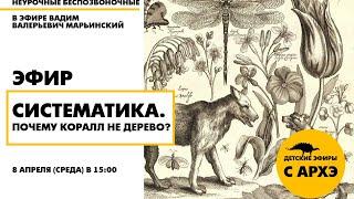 Детский эфир "Систематика. Почему коралл не дерево?" в рамках рубрики "Неурочные беспозвоночные"