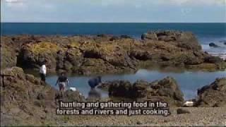 This years Maori language week theme Te Karere TVNZ 11 Jun 2010.wmv