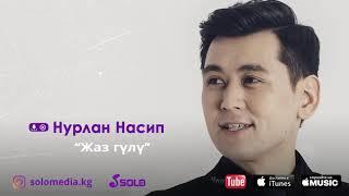 Жаны Ыр Нурлан Насип "Жаз гулу"