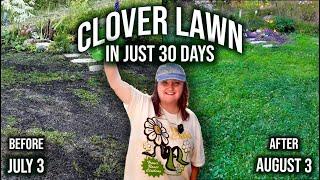 HOW TO Grow a CLOVER LAWN! FAST RESULTS | EASY & CHEAP DIY & How to mow with reel mower