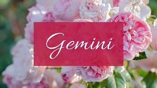 Gemini️Who’s coming towards u in love: This obsession is unhealthy..