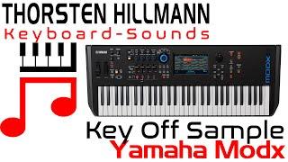 Beginner Tutorial Key Off Sample Yamaha Modx Montage