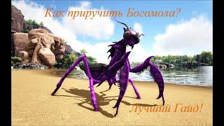 КАК ПРИРУЧИТЬ БОГОМОЛА В АРК? ПОДРОБНЫЙ ГАЙД!  ┃ EASY WAY TO TIME A MANTIS!  GUIDE!┃