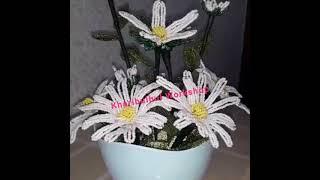 Boncuktan papatya. Muncuqdan çobanyastığı. Ромашка из бисера. DIY daisy. ديزي. Flor de manzanilla