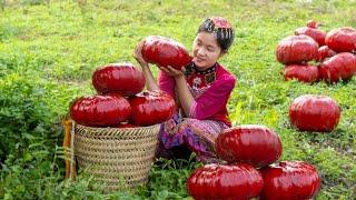 Harvesting Giant Red Pumpkins Goes to the market sell | Ella Daily Life