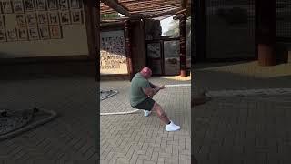 Man vs Tiger in Tug of War 