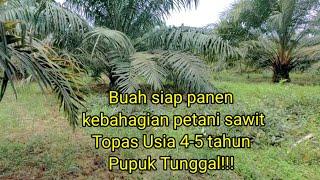 Topas masuk usia 4 s.d 5 tahun