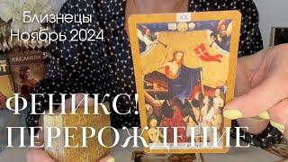 Близнецы НОЯБРЬ 2024 : Не бойтесь нового! Вы перерождаетесь как Феникс!