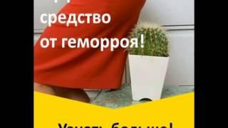 геморой как он проявляется лечение