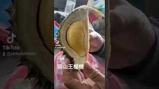 品嚐台灣貓山王榴槤