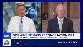 Sen. Ron Johnson on 'immoral' GOP spending bill: This is grotesque what we're doing