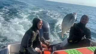 Spearfishing in Miami! ‍️