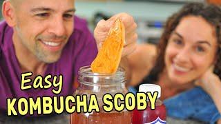 Making a Kombucha Scoby from Scratch (SPOILER: It's super easy!)