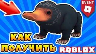 [EVENT] КАК ПОЛУЧИТЬ ПИТОМЦА НЮХЛЕРА БЕСПЛАТНО! ИВЕНТ ROBLOX HALLOWEEN 2018