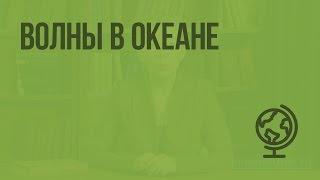 Волны в океане. Видеоурок по географии 6 класс