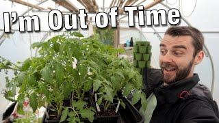 Now Or Never | The Big May Plant Out