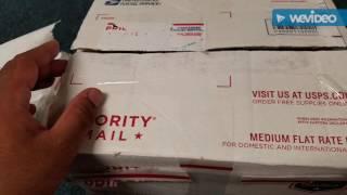 Warrior beetles unboxing
