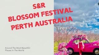 S&R Orchard Blossom Festival 2024 Perth Australia.