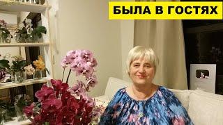 ЗЯТЬ ВОСХИЩАЕТСЯ НАШИМ БОКСЁРОМ УСИКОМ..БЫЛА В ГОСТЯХ