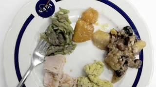 Post-Thanksgiving Space News - SpacePod 2010.11.29