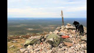 Jekku Schipperke hiking in Lapland - Jekku vaeltaa Lapissa (Hetta-Pallas)