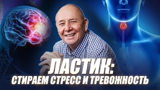 100% работающий способ СТЕРЕТЬ НЕГАТИВ и УБРАТЬ СТРЕСС из своей жизни! Инструмент “ЛАСТИК”