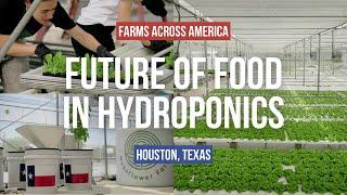 Hydroponic Farming to Feed America | Farms Across America