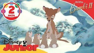 Bambi II | Thumper's Little Sisters | Disney Junior UK