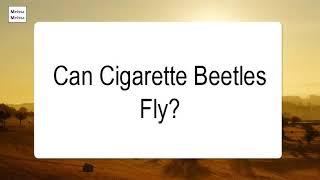 Can Cigarette Beetles Fly